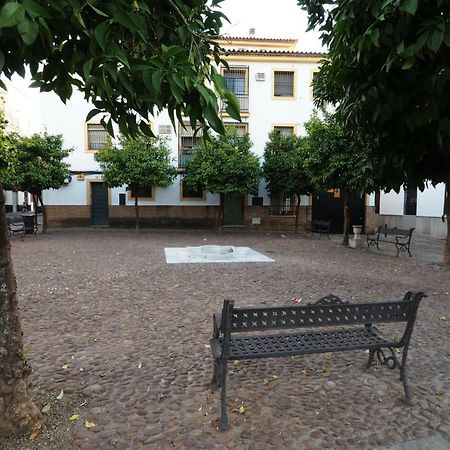 Calle Abejar,Plaza Cordoba Luaran gambar